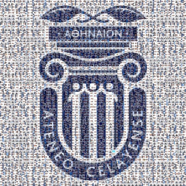 Escudo